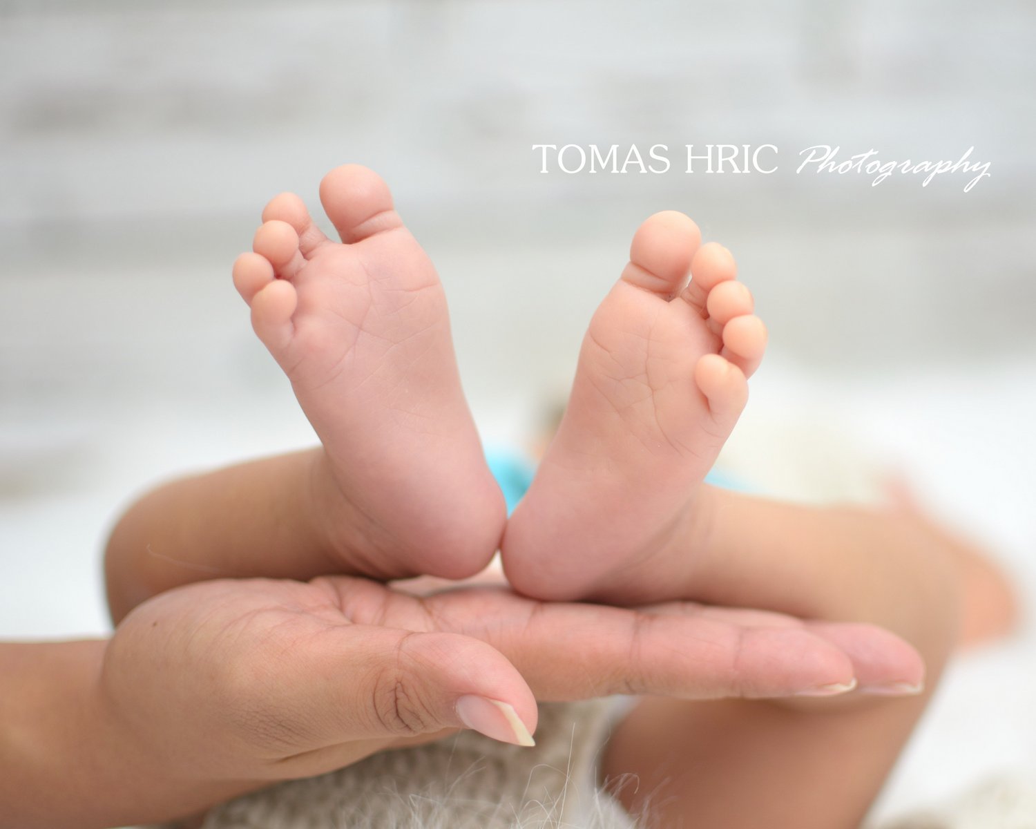 mother holding newborn and maternity baby feet in northern virginia va