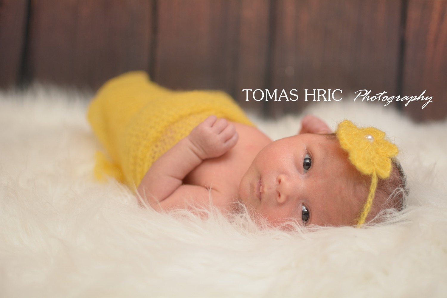 Tomas Hric Photography Northern Virginia Newborn photographer baby girl wrapped in a yellow wrap looking at the camera